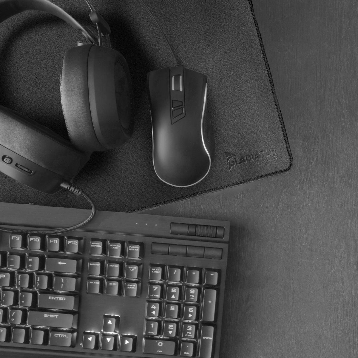 Onverbiddelijk stilte Perforatie Gladiator Esports gaming muismat (zwart) | Podobrace.nl