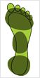 MySole Anatomical