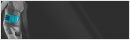 Bauerfeind Sport Back Support Rugbandage